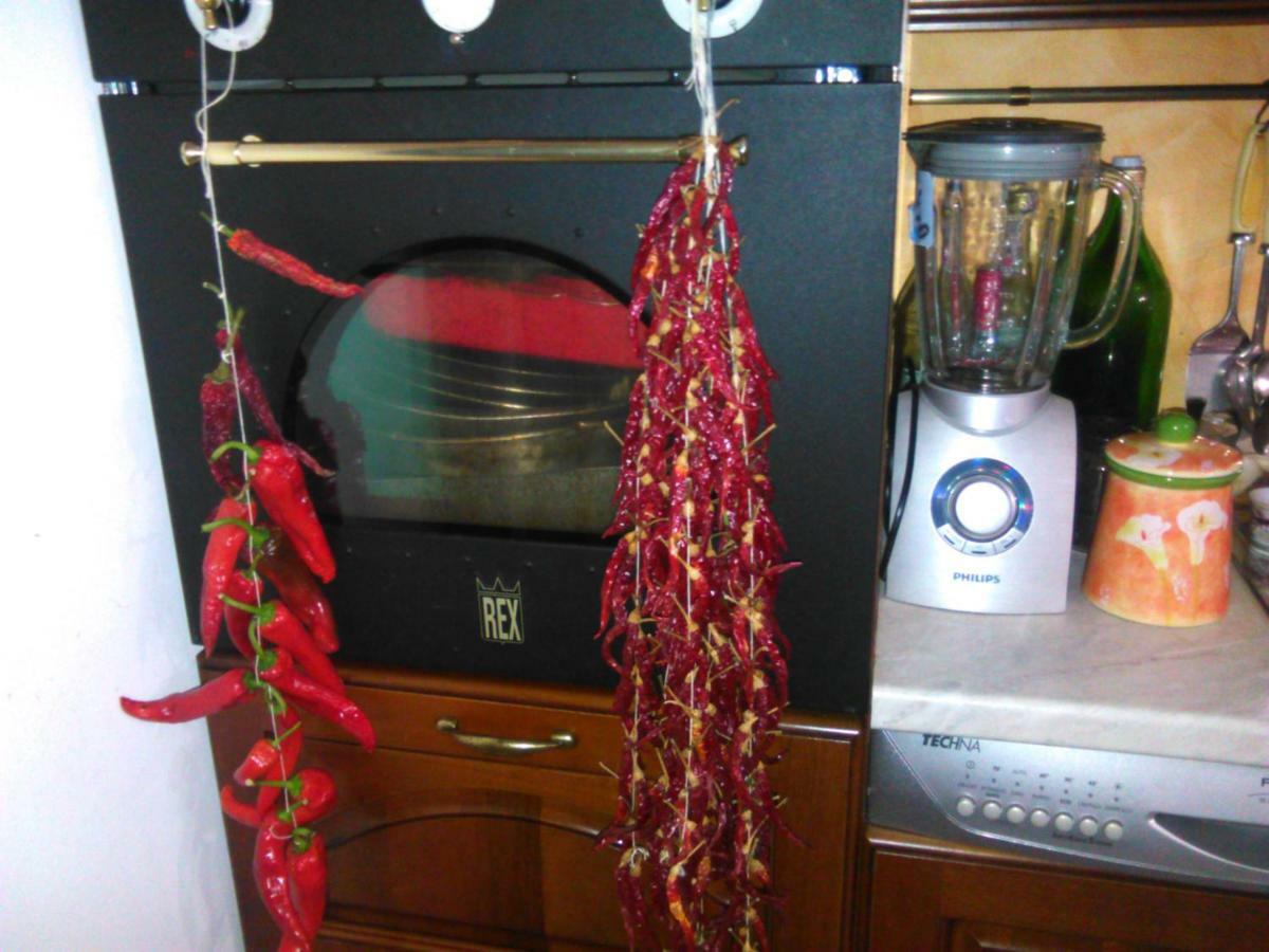 L'Oasi Bed & Breakfast Auletta Екстериор снимка